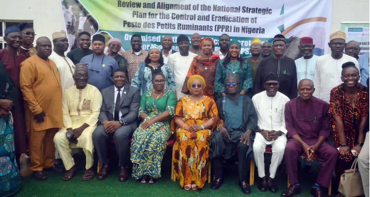 FG Reaffirms Commitment to Eradicate PPR in Sheep and Goats by 2030